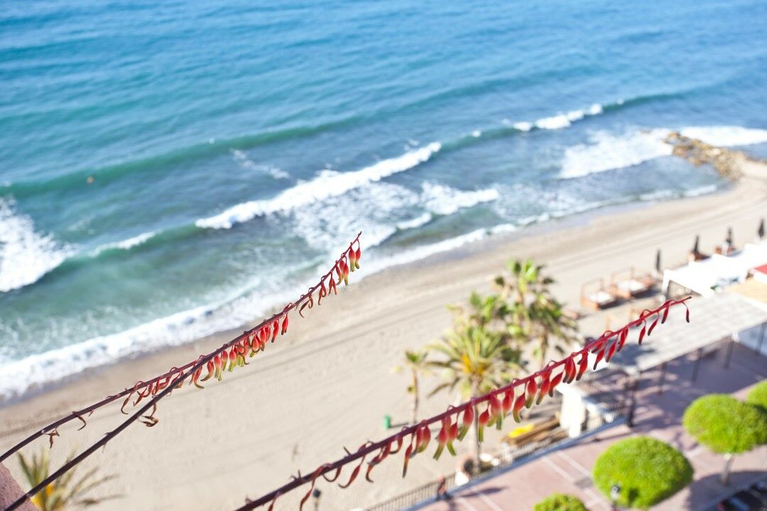 Ona Princesa Playa Lägenhetshotell Marbella